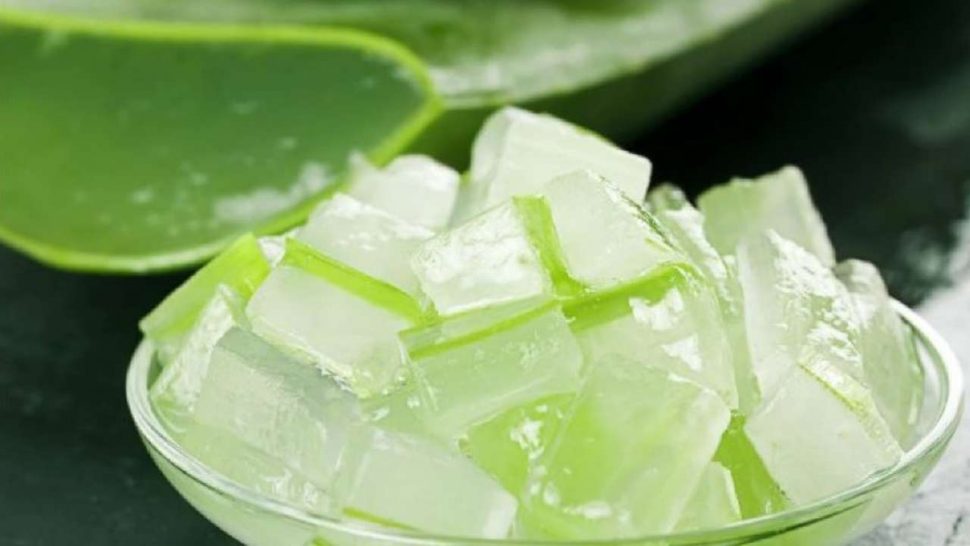 aloe vera icecubes